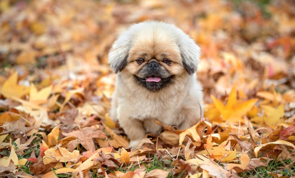 ノマドとして海外で快適に働くための必須アイテムは？