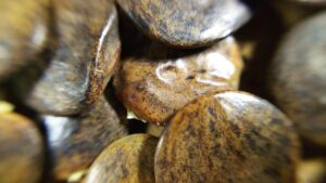 Zoom疲れを解消するための効果的な方法は？