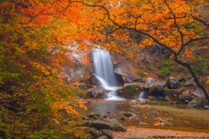 オンライン面接で落ちる理由とは？リモート転職成功のためのポイントを解説！