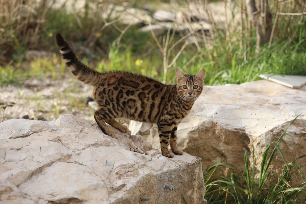 在宅転職で失敗しないための進め方チェックリストは？